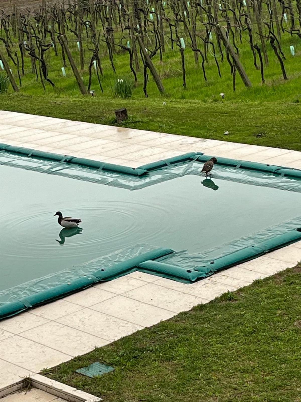 Agriturismo Al Dugale Лацизе Екстериор снимка